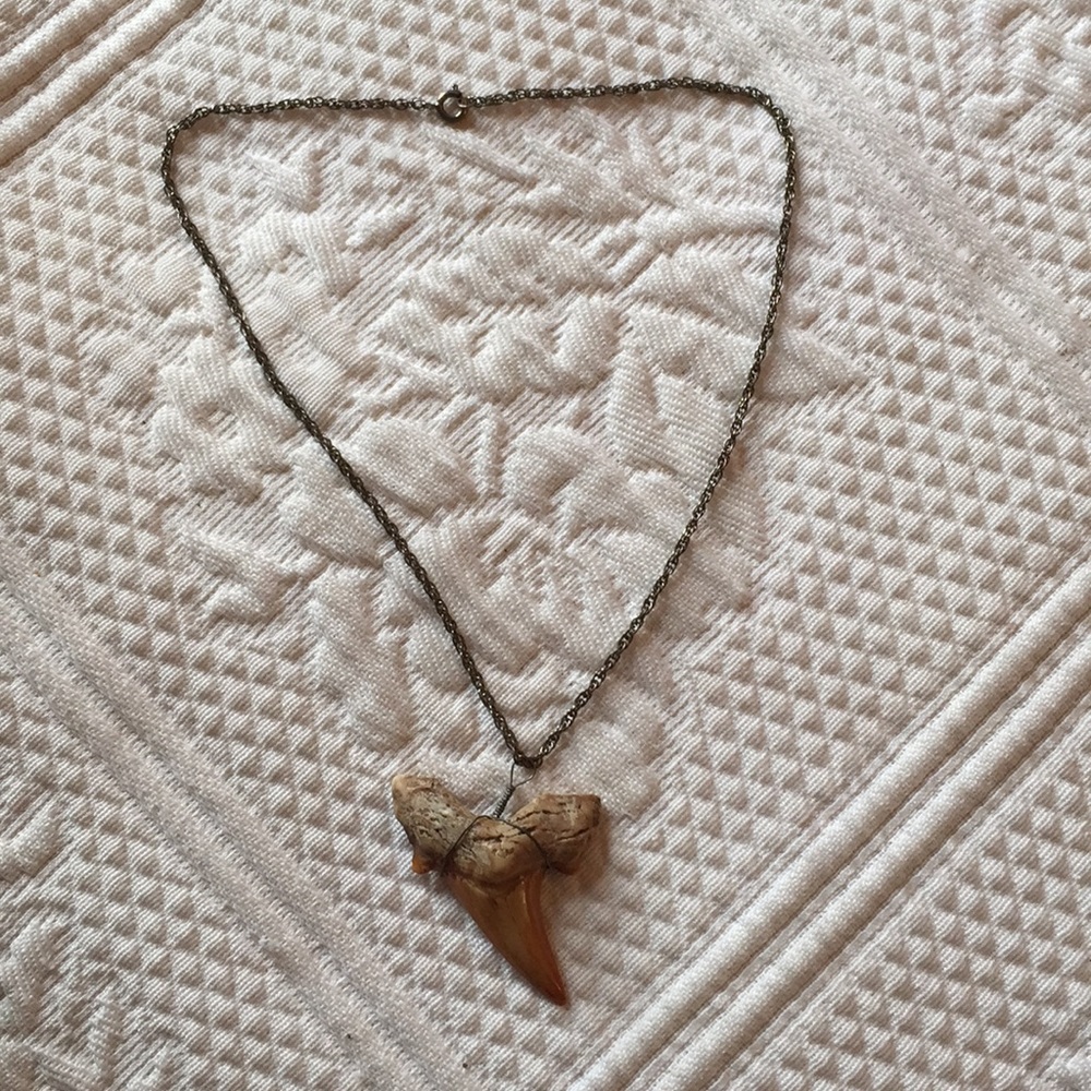 SHARK WEEK -  blond large rare shark tooth pendent